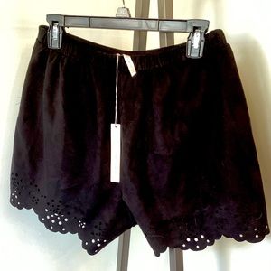 Lauren Conrad Black Shorts (Size Small)